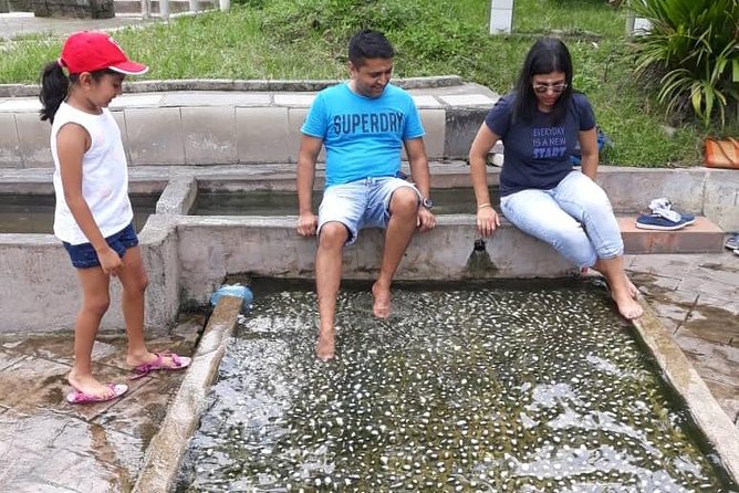 Back to Nature Tour - Templer's Park, Hot Spring & Batu Caves - Batu Caves and the 42.7-meter Lord Muruga statue