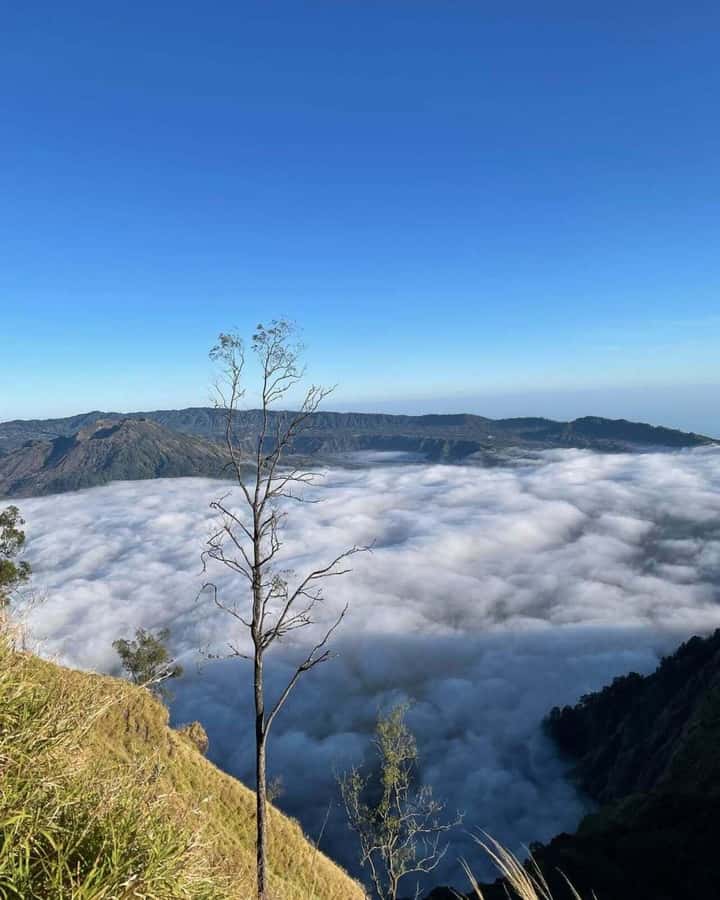 Bali: Caldera Sunrise Trek and Natural Hot Spring - Coffee tasting after the hot spring