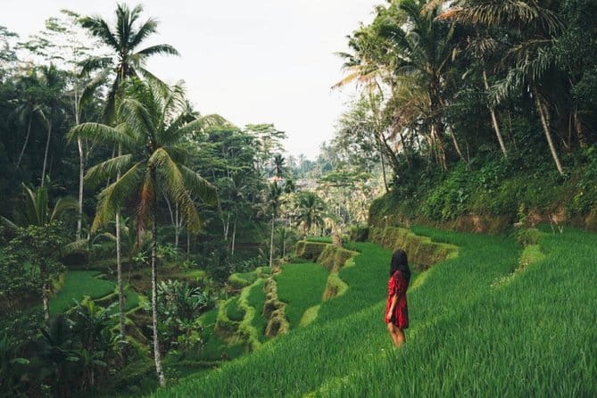 Bali day trip : Batur Sunrise Hike and Hot Spring All inclusive - Who will enjoy this Mount Batur day trip