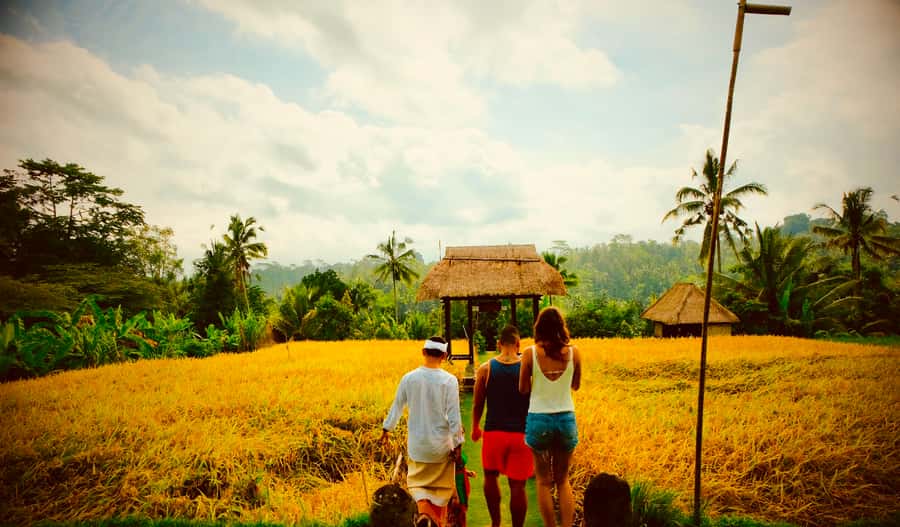 Bali: Mount Batur Sunrise Hike with Breakfast & Hot Spring - Tegalalang, Coffee, Swings, and Massage