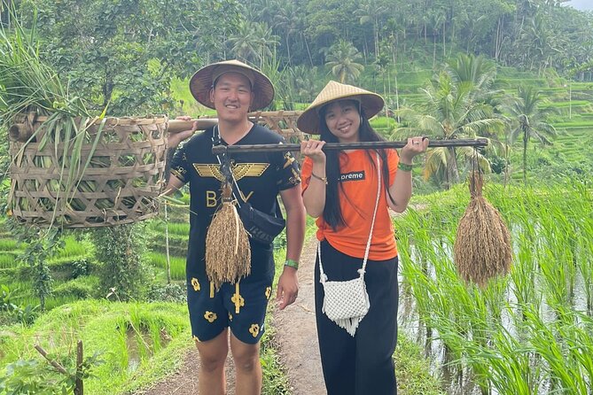 Bali Swing Hot Spring And Waterfall Private Guided Tour - Batur Natural Hot Spring, the tour’s best change of pace