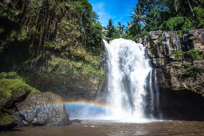 Bali Swing Hot Spring And Waterfall Private Guided Tour - Ubud Monkey Forest, where the day begins