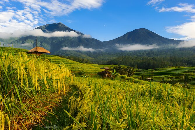 Bali Tour: Lake, Iconic Gate, Temple, Hot Spring and Rice Terrace - Key points at a glance