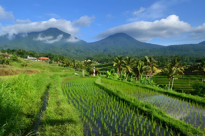 Bali Tour: Lake, Iconic Gate, Temple, Hot Spring and Rice Terrace - Ulun Danu Beratan beside the mountain lake