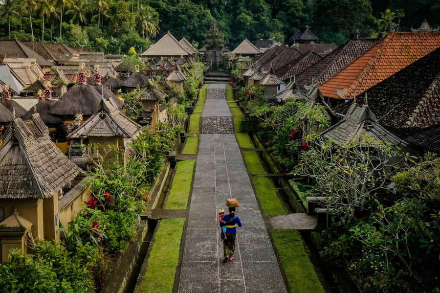 Bali: Trunyan Cemetery, Hot Springs, and Penglipuran Village - What the $92 price really covers