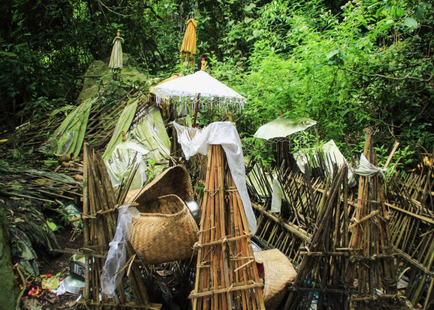 Bali: Trunyan Cemetery, Hot Springs, and Penglipuran Village - Who should book this Bali experience?
