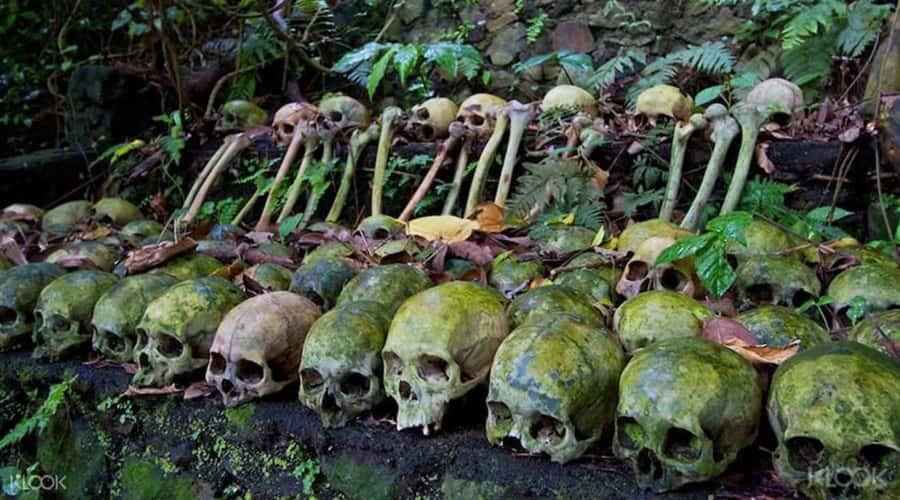 Bali: Trunyan Cemetery, Hot Springs, and Penglipuran Village - A warm pause at Batur Natural Hot Spring