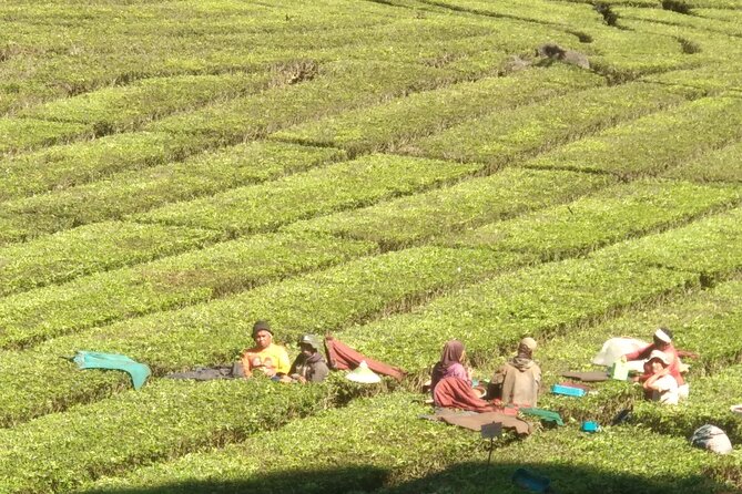 Bandung Volcano Sightseeing and Hot Spring Private Tour - Transport, timing, and the cost of a late start