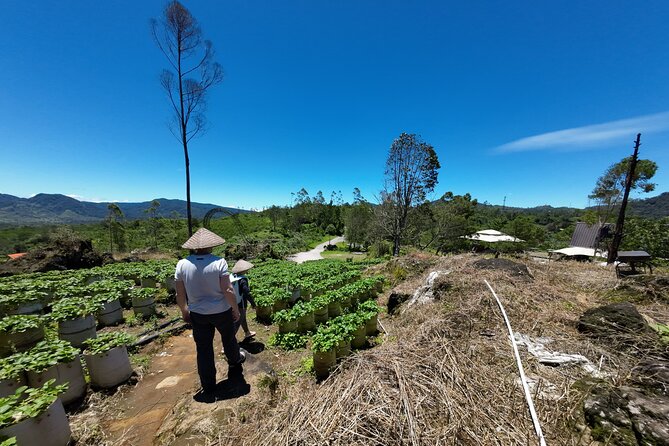 Bandung Volcano Sightseeing and Hot Spring Private Tour - Rengganis Crater: geothermal water up close