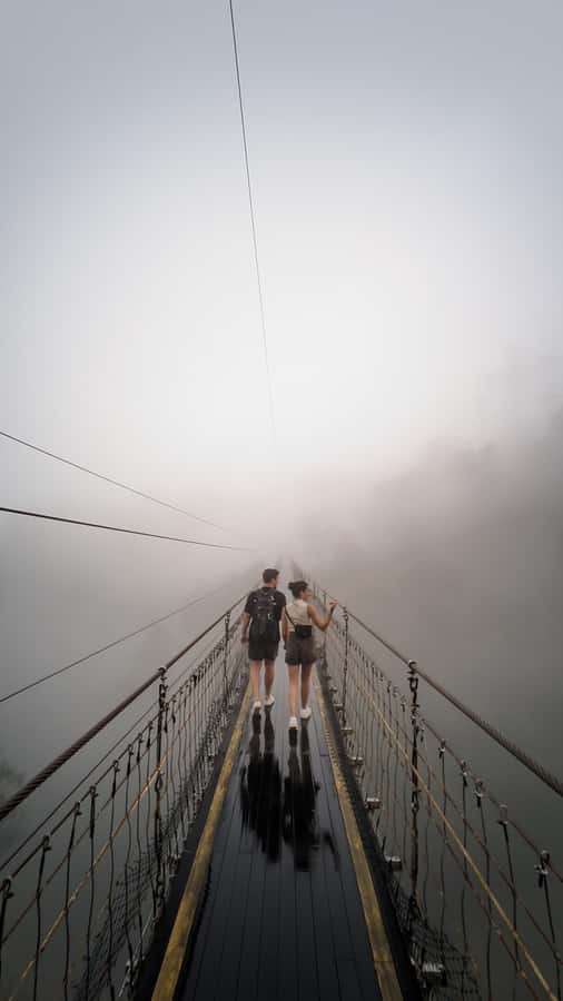 Bandung: White Crater, Scenic Tea Plantations & Hot Spring - Tea plantations and a short walk through the highlands