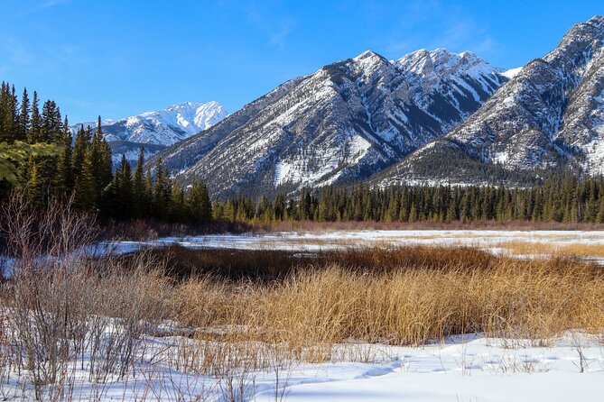 Banff Cave & Hot Springs Audio Walking Tour (Not a Ticket) - Along the Bow River and the Marsh Route