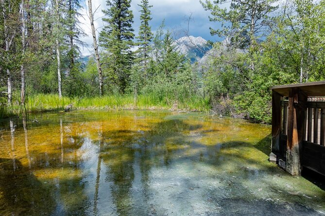 Banff Cave & Hot Springs Audio Walking Tour (Not a Ticket) - What the Audio App Does Well