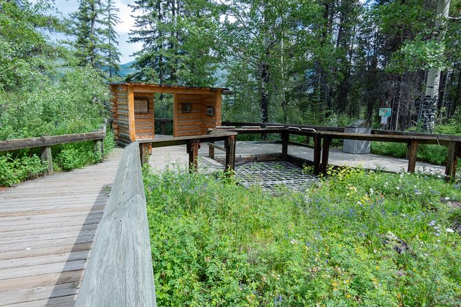 Banff Cave & Hot Springs Audio Walking Tour (Not a Ticket) - Timing, Opening Hours, and Pace