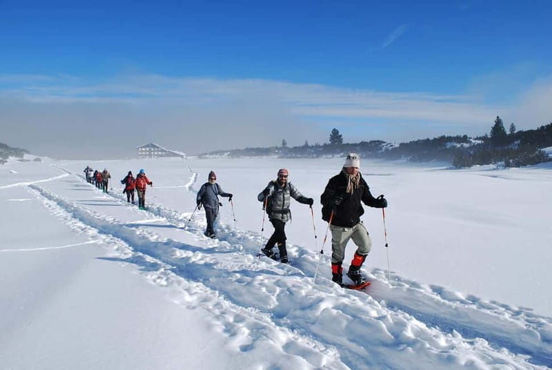 Bansko: Easy snowshoeing Pirin National Park & thermal spa - Why this six-hour outing works so well
