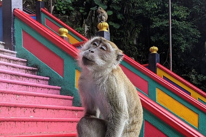 Batu Caves,Waterfalls and Hot Springs Tour With Lunch - Royal Selangor explains why pewter matters