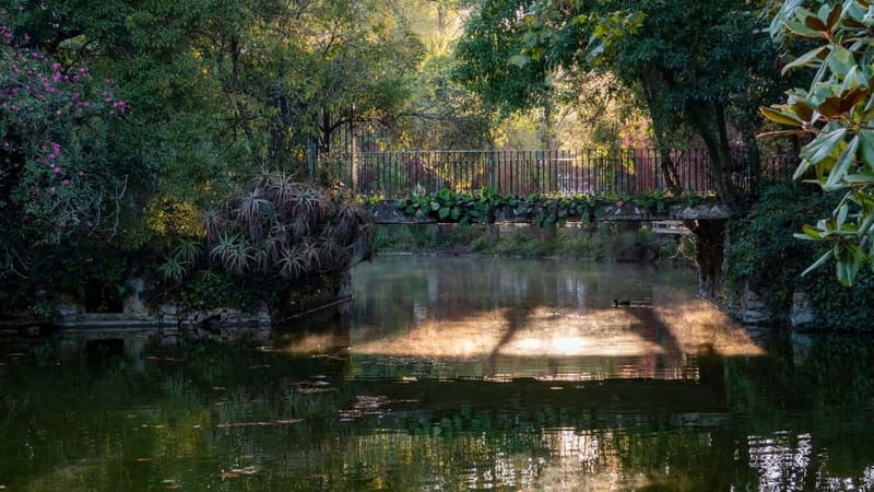 Best of Caldas da Rainha: Private Walking Tour with a Local - A slower turn through Parque Dom Carlos I