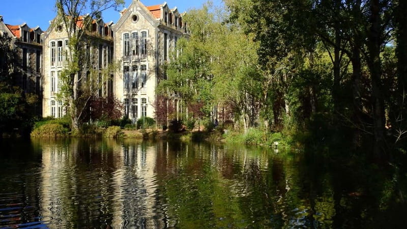 Best of Caldas da Rainha: Private Walking Tour with a Local - Price, private space, and what you actually receive