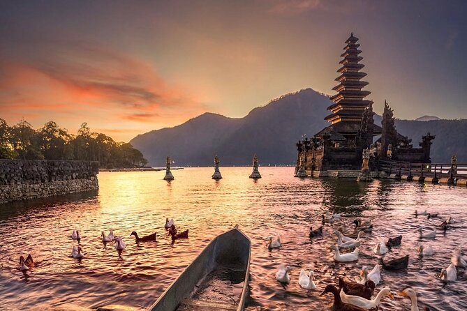 Best Ubud Tour with Instagrammable Jungle Swing all inclusive - Is $65 good value?