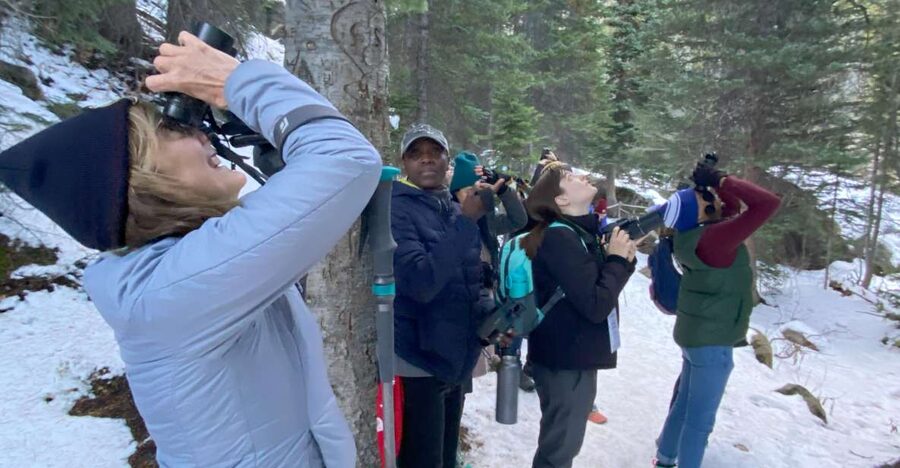 Birding Hike and Hot Spring Soak from Denver - A spruce-fir forest with a real wildlife purpose