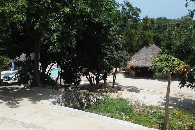 Blue Hole Mineral Spring and Ricks Cafe Private Tour - The road from Montego Bay to western Jamaica