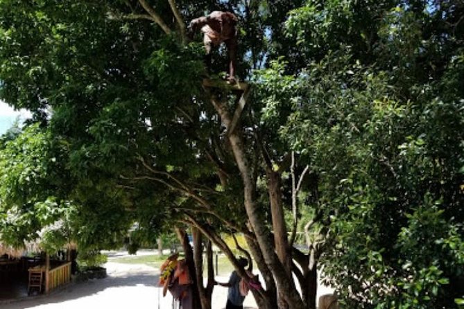 Blue Hole Mineral Spring and Ricks Cafe Private Tour - How the $160 price holds up