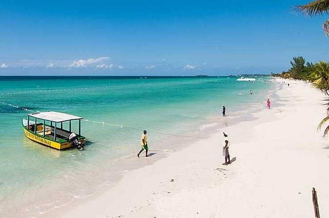 Blue Hole Mineral Spring, Ricks Cafe, 7 Mile Beach and Shopping Private Tour - Who should book this private Negril tour