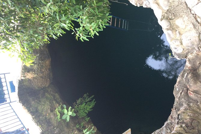Blue Hole Mineral Springs, Rick's Café, and Shopping Combo Tour - Who should book this Negril tour