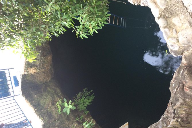 Blue Hole Mineral Springs, Rick's Café, and Shopping Combo Tour - Negril shopping with room to choose