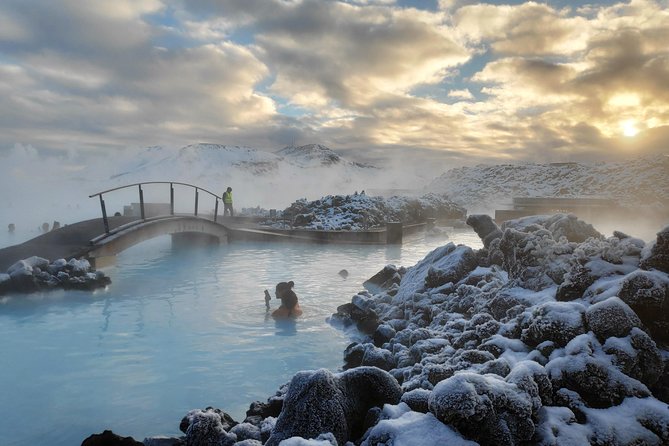 Blue lagoon Premium and Private Golden circle tour - Fridheimar puts geothermal heat on your plate