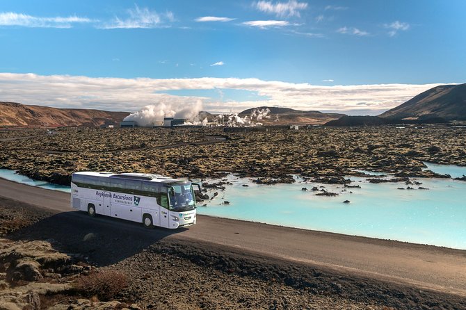 Blue Lagoon Return Bus Transfer from Reykjavik - Should you book this Blue Lagoon transfer?