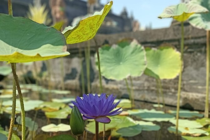 Brahmavihara Arama Banjar Hot Spring Ulundanu Bratan Private Tour - The Taman Ayun question