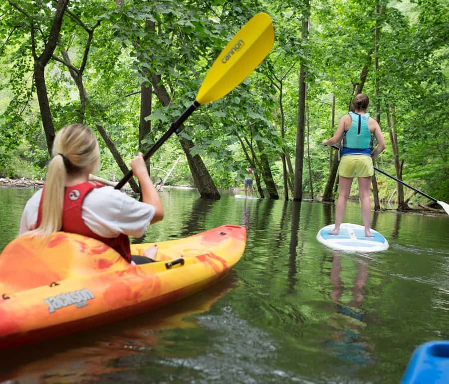 Bryson City: Fontana Lake Guided Kayak Tour - Why Fontana Lake works for a first kayak trip