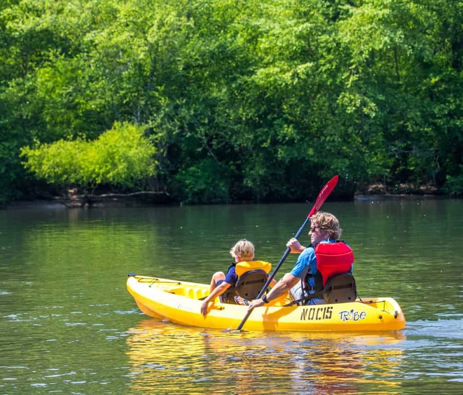 Bryson City: Fontana Lake Guided Kayak Tour - Two to two and a half hours among the mountain views