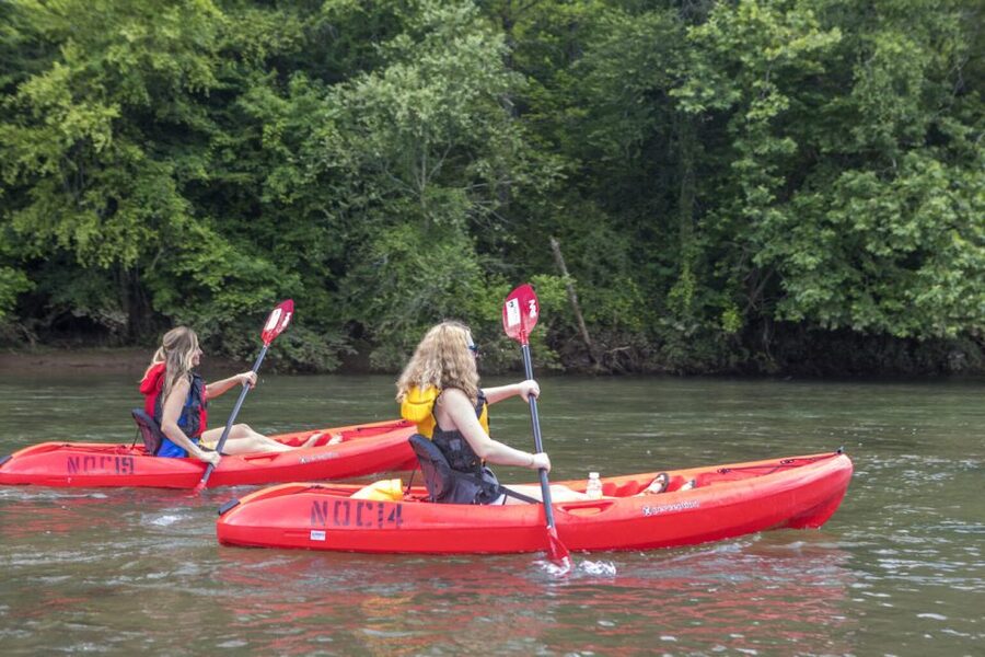 Bryson City: Fontana Lake Guided Kayak Tour - Wildlife watching without turning the trip into a checklist