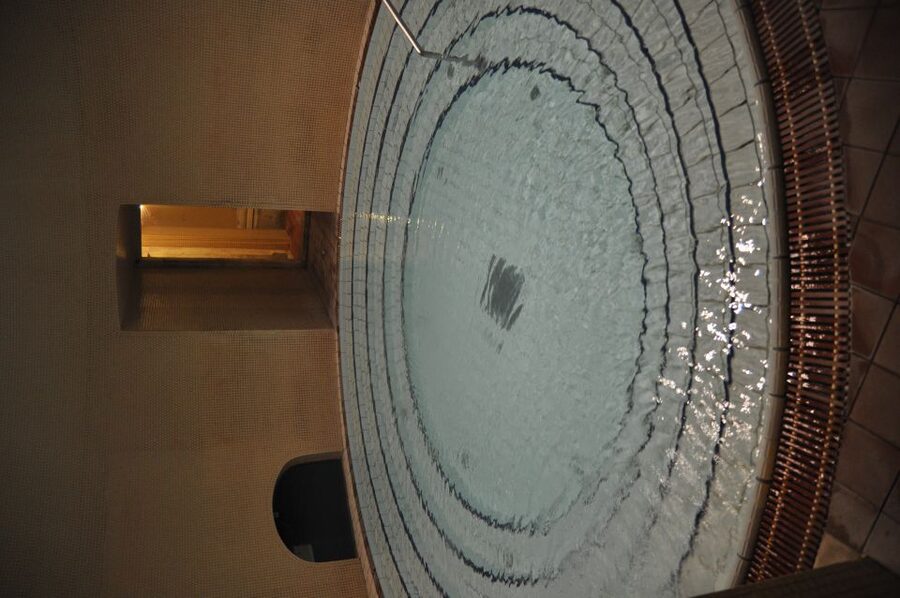 Budapest: Lukács Thermal Bath Full-Day Spa Ticket - Saunas and steam rooms with different moods