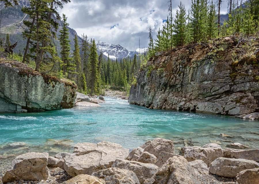 Calgary: Radium Hot Springs & Marble Canyon Day Trip - Marble Canyon makes the early hours worthwhile