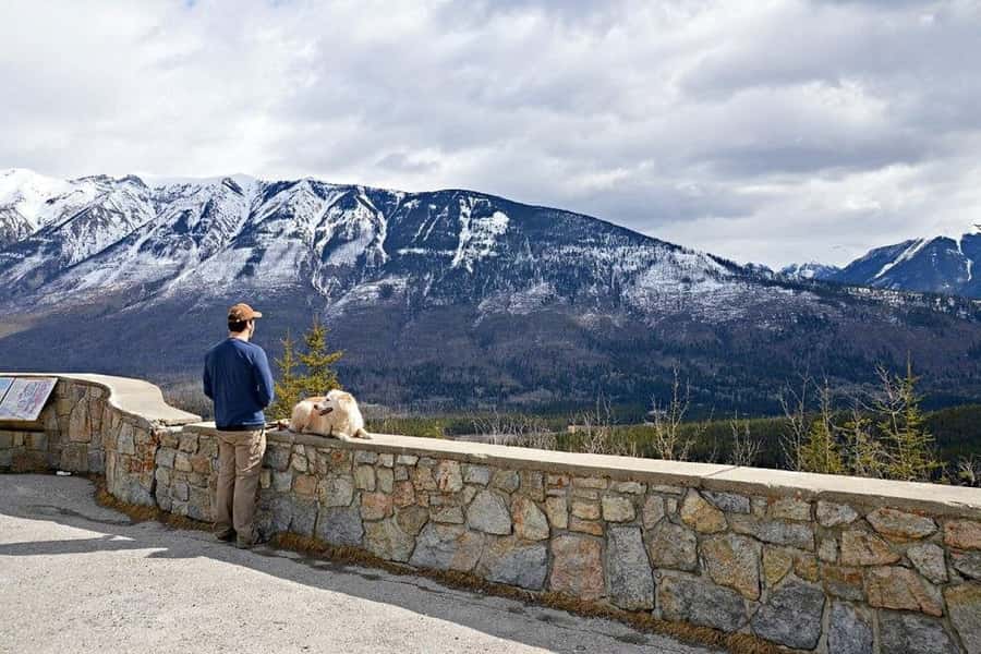 Calgary: Radium Hot Springs & Marble Canyon Day Trip - The Kootenay Valley viewpoint slows the pace