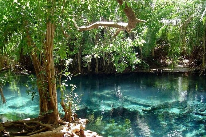 Chemka Hot Springs Day Trip - Practical details before you book