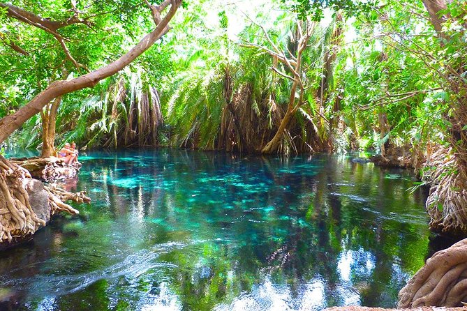 Chemka Hot Springs Tour from Moshi - Key points at a glance