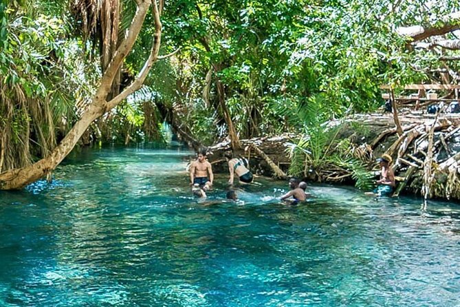 Chemka Hot Springs Tour from Moshi - Arriving at the clear-water pool