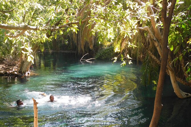 Chemka (Kikuletwa) Hot Springs, Tanzania - Key points to know