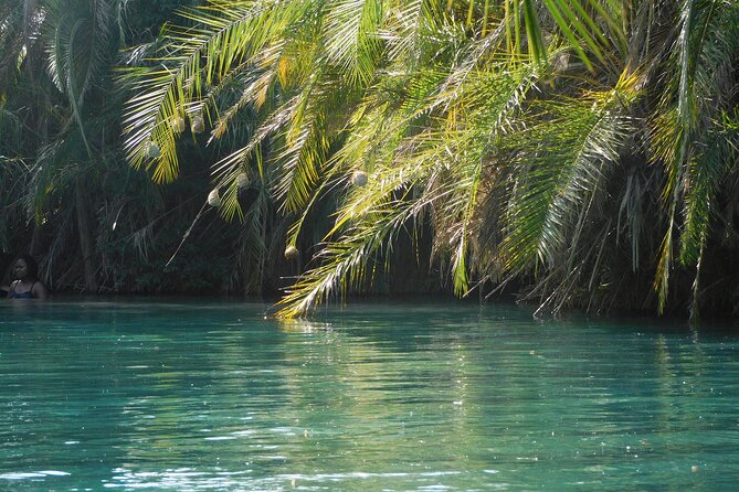 Chemka (Kikuletwa) Hot Springs, Tanzania - Who will enjoy this half-day outing