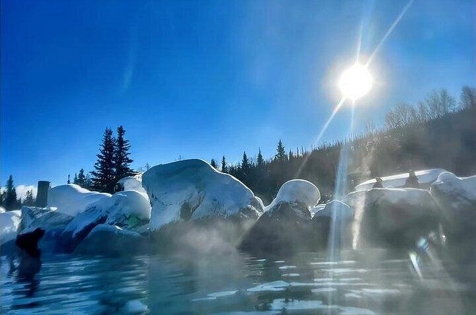 Chena Hot Spring Day Tour - What the guide adds to the ride