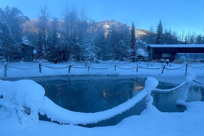 Chena Hot Spring Day Trip - What the $190 price really buys you