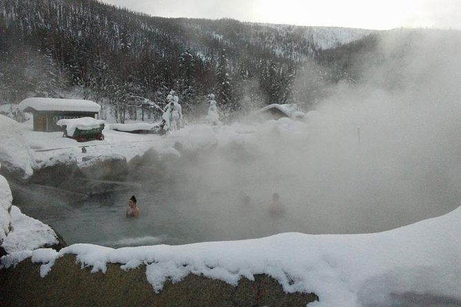 Chena Hot Springs Aurora Tour - Key points to know before you book