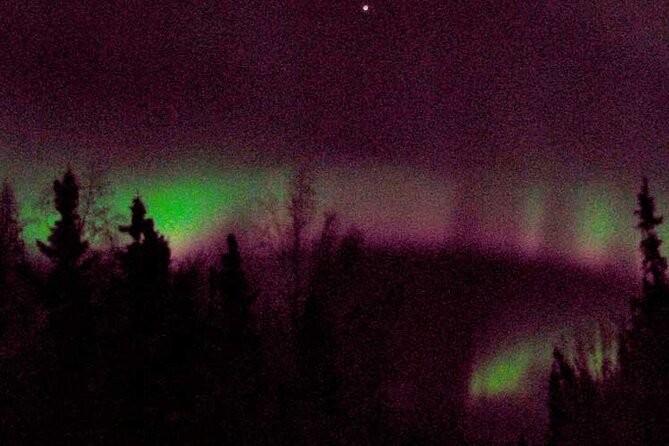 Chena Hot Springs Aurora Tour - The Aurora Ice Museum and Bar