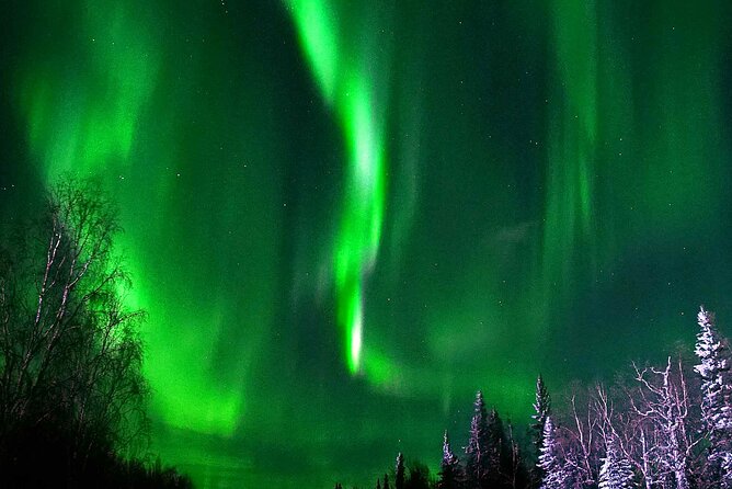 Chena Hot Springs Aurora Tour - The Tanana Valley State Forest route