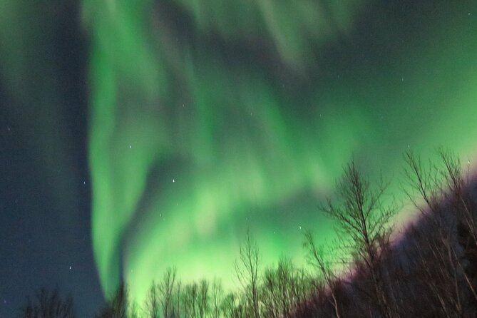Chena Hot Springs plus Aurora Chase Tour - Why the guide can make or break the night