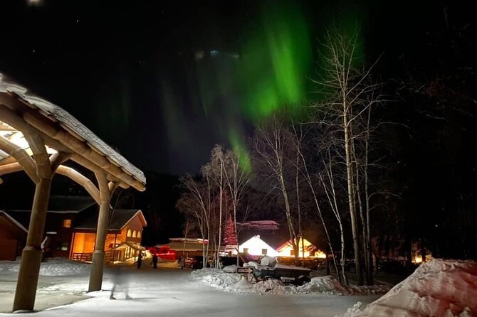 Chena Hot Springs Round Trip Tour - The Ice Museum: unusual, optional, and not for everyone