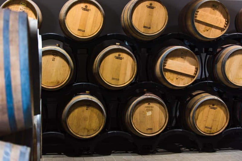 Chianciano Terme: Guided Winery Tour & Wine Tasting - The winery and barrique cellar